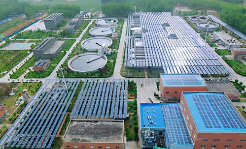 河南唯一入圍國(guó)企改革 雙百行動(dòng) 的市級(jí)試點(diǎn) 這家企業(yè)是咋做到的