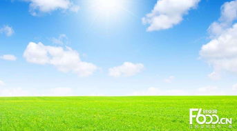 睿容空氣凈化器加盟指南 加盟費、官網、條件流程及政策支持解析