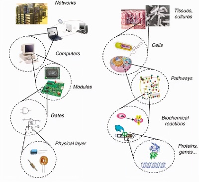 魔術(shù)師之手 計(jì)算機(jī)網(wǎng)絡(luò)工程如何以無(wú)形之力重塑世界